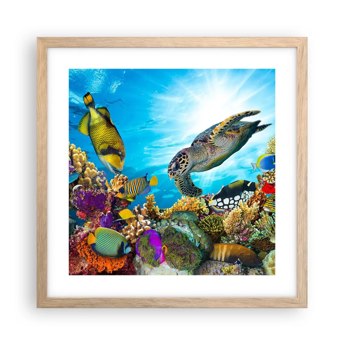 Poster in light oak frame - Coral Promenade - 40x40 cm