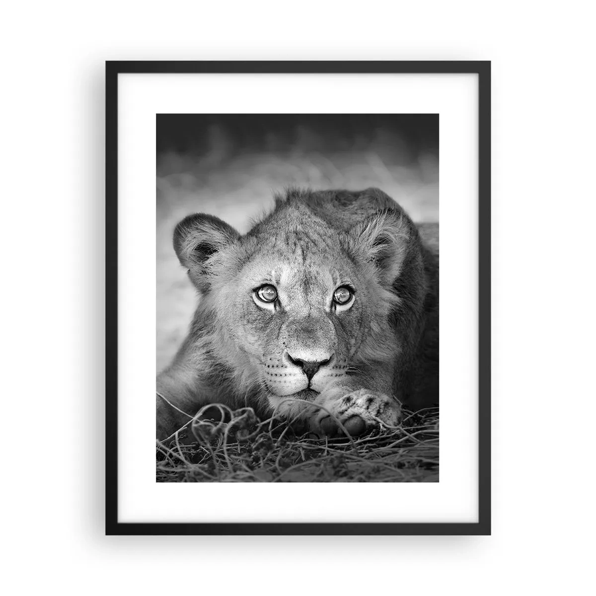 Poster in black frame - Royal Puppy - 40x50 cm