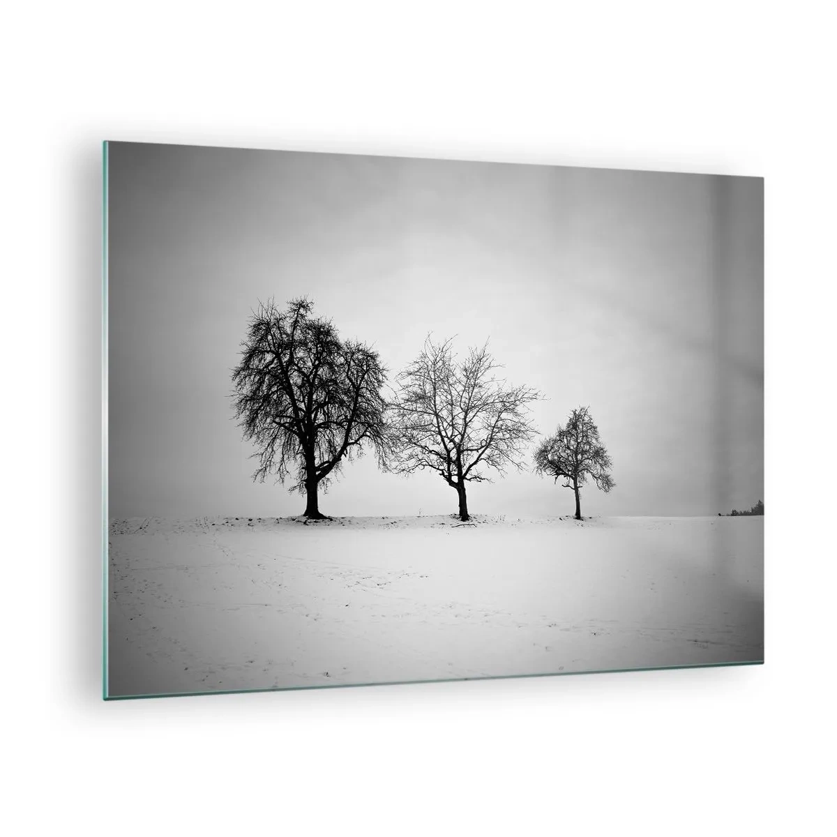 Glass picture - Three lonely trees in a snow-covered area - 70x50cm - What Are They Dreaming About? - Modern wall decoration for the living room and bedroom ARTTOR