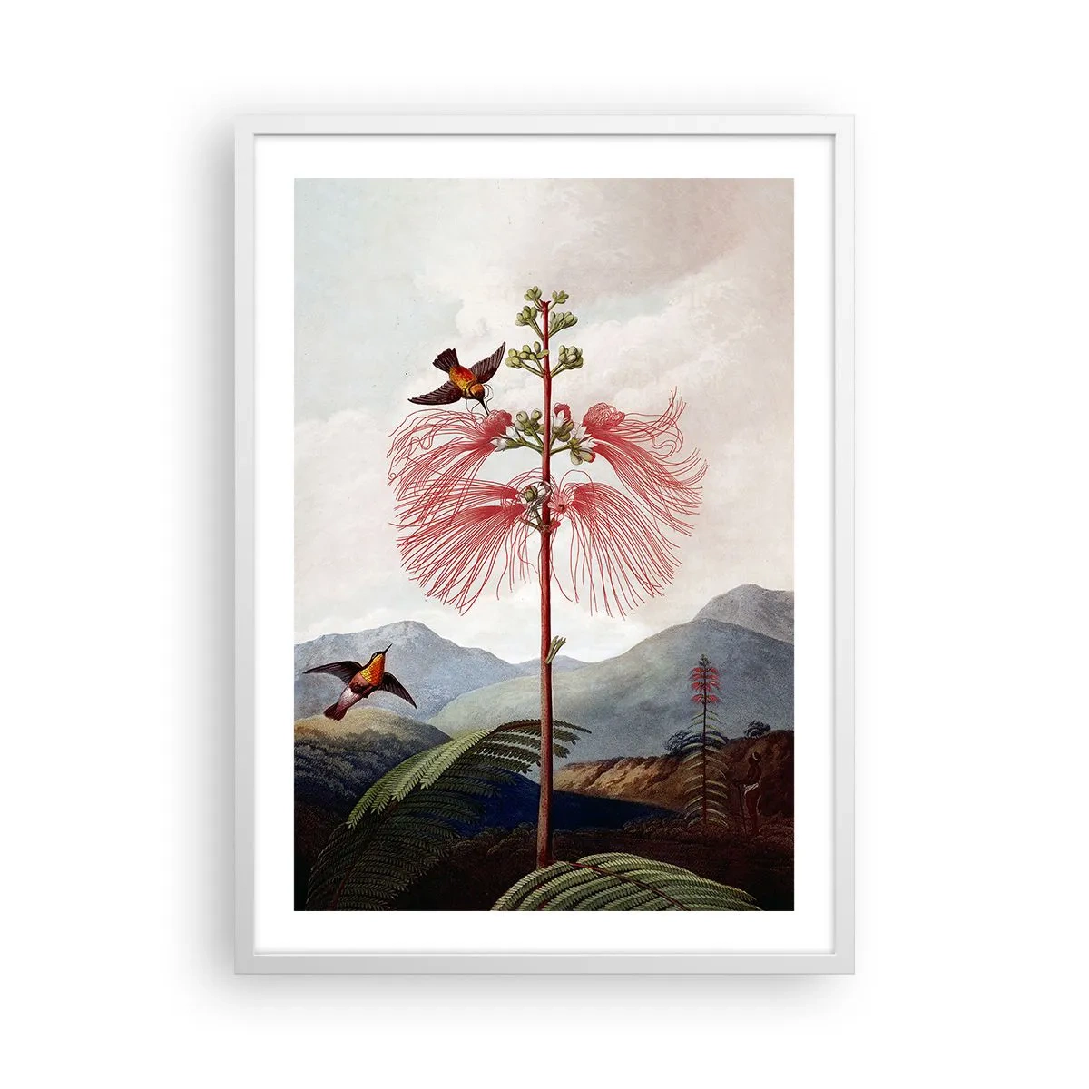 Poster in white frmae - In a Tropical Paradise - 50x70 cm