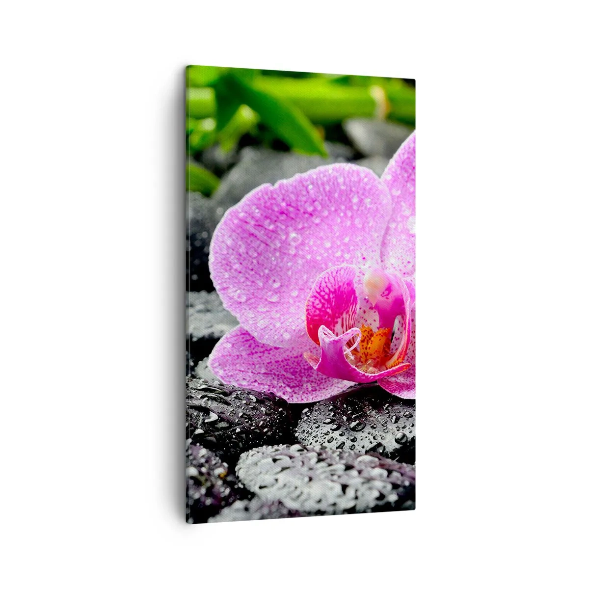 Canvas picture - Like an Open Heart - 45x80 cm