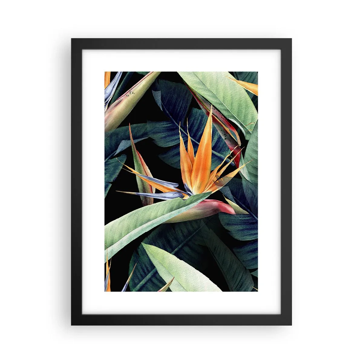 Poster in black frame - Flaming Flowers of the Tropics - 30x40 cm