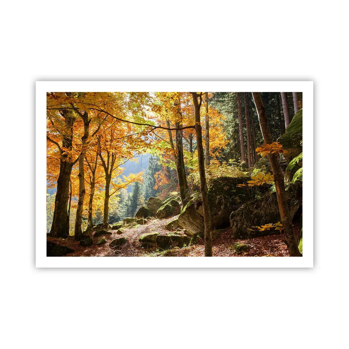 Poster - Time for Rest - 91x61 cm