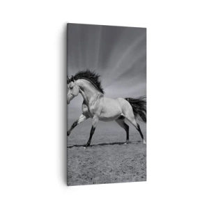 Canvas picture - Born to Amaze - 55x100 cm