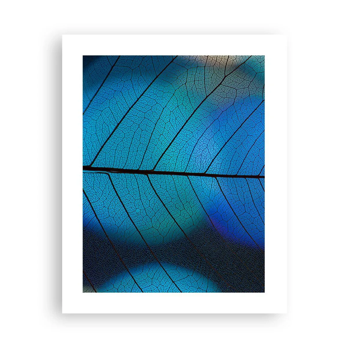 Poster - Intricate Construction - 40x50 cm