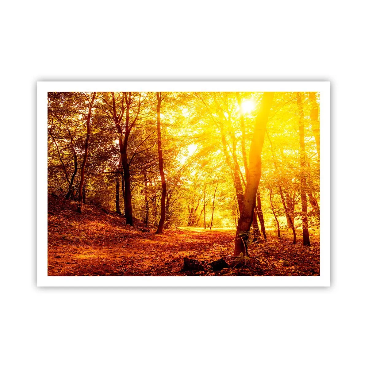 Poster - Towards Golden Plain - 100x70 cm