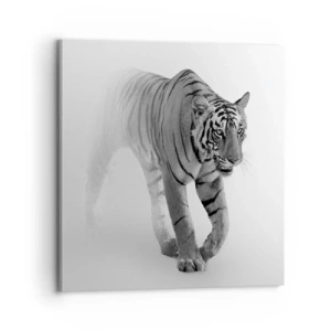 Canvas picture - Crouching in Fog - 70x70 cm