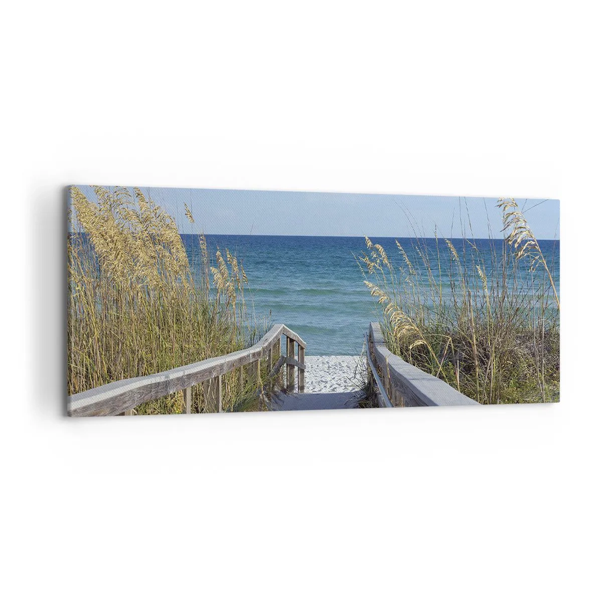 Canvas picture - In the Sun, out in the Wind - 100x40 cm