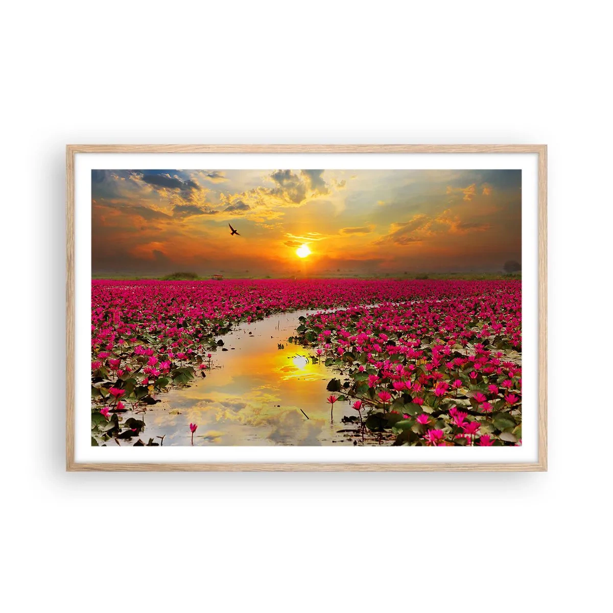 Poster in light oak frame - Secret Life of a Lake - 91x61 cm