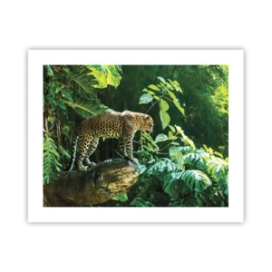 Poster - Going Hunting? - 50x40 cm