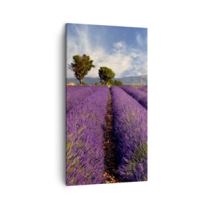 Canvas picture - Lavender Fields - 45x80 cm