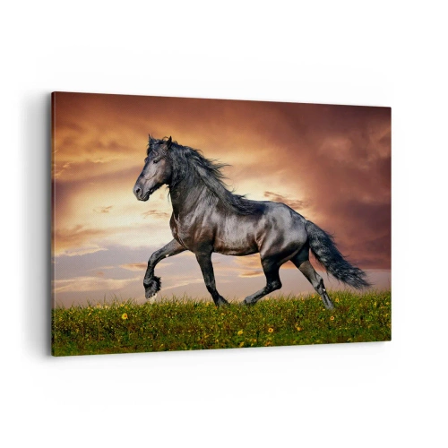 Canvas picture - Black Prince - 120x80 cm