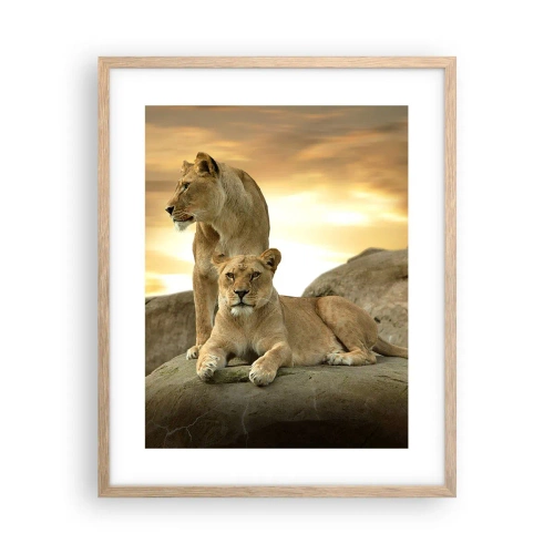 Poster in light oak frame - Royal Majesty - 40x50 cm
