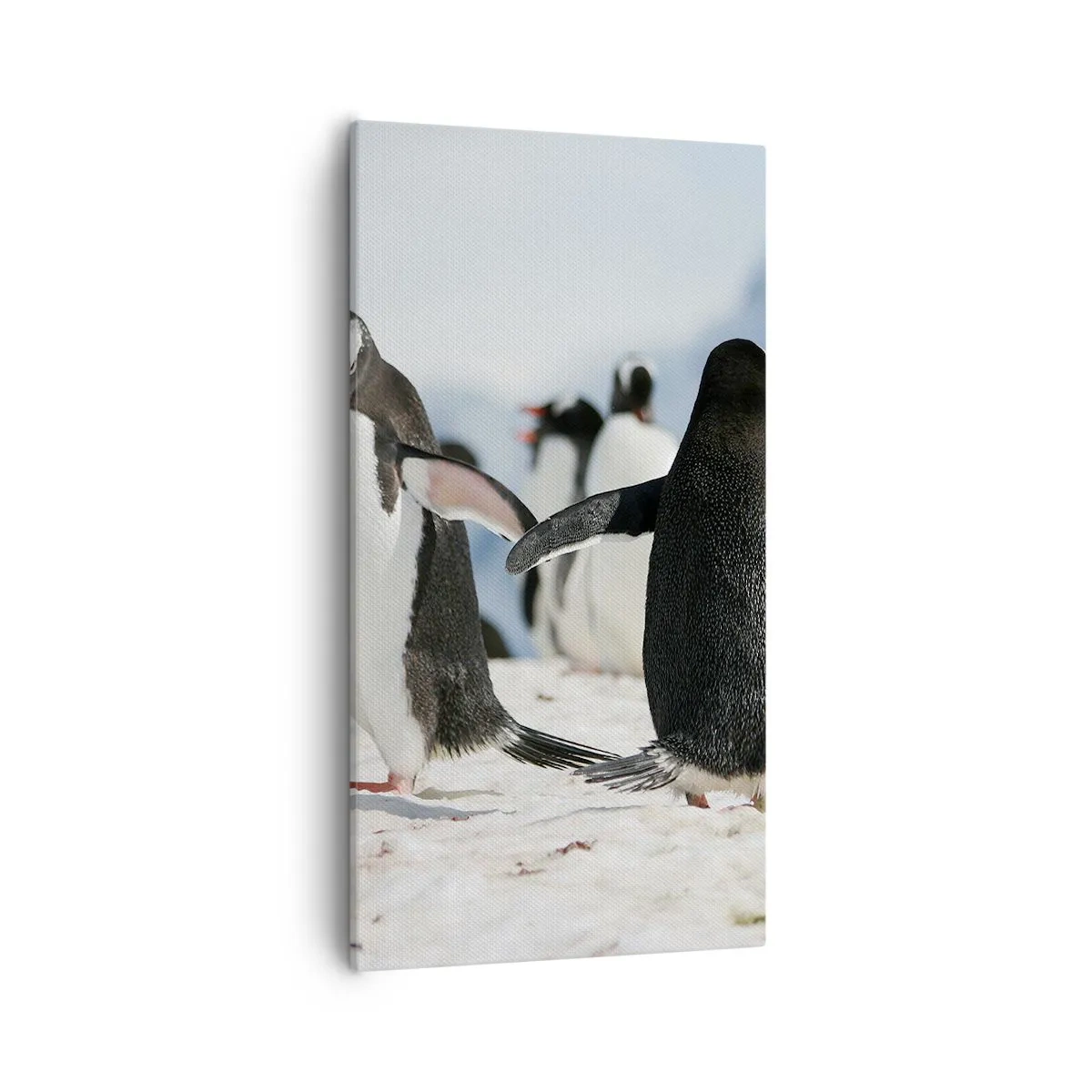 Canvas picture - Dance in the Snow - 55x100 cm