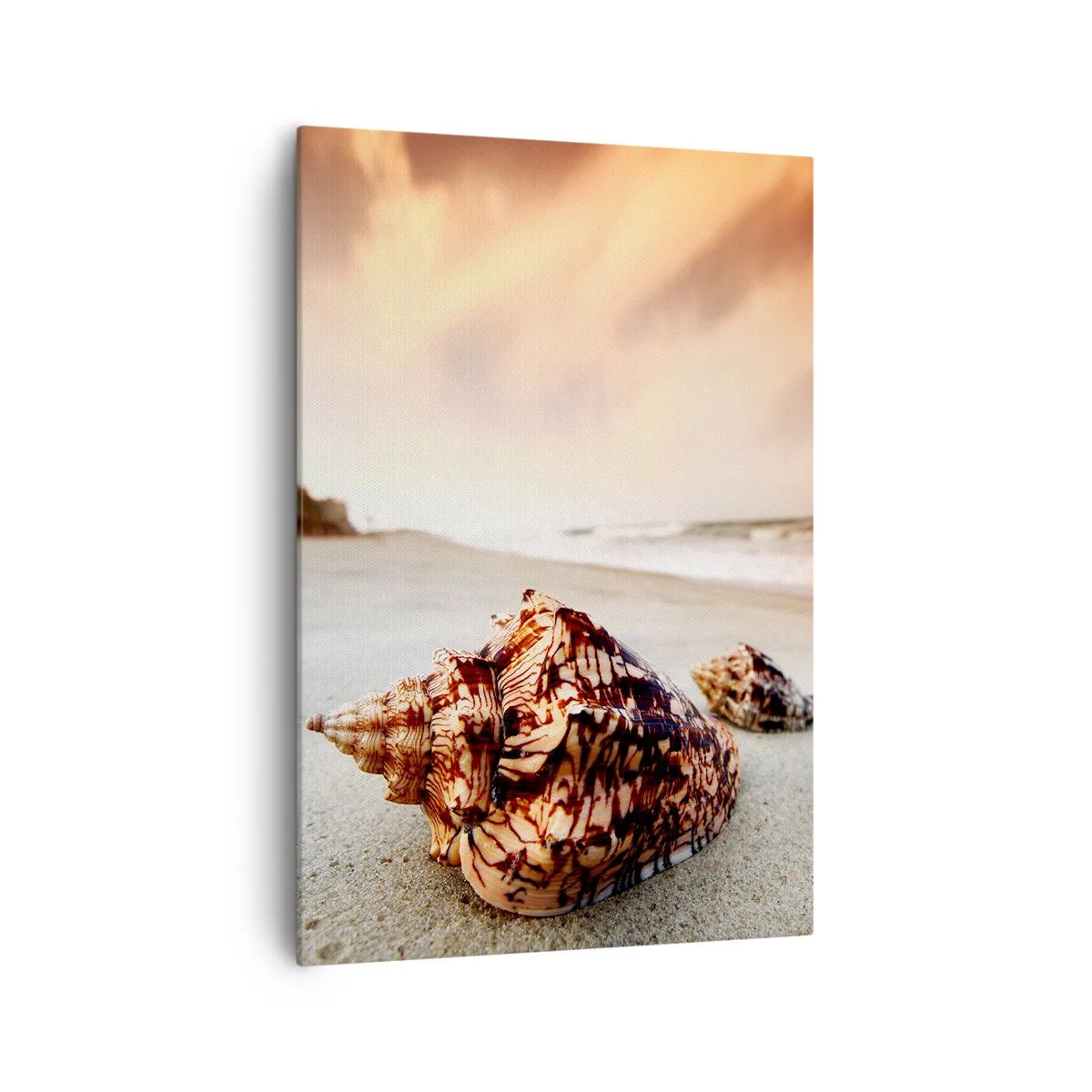 Canvas picture - Expelled by Waves - 70x100 cm