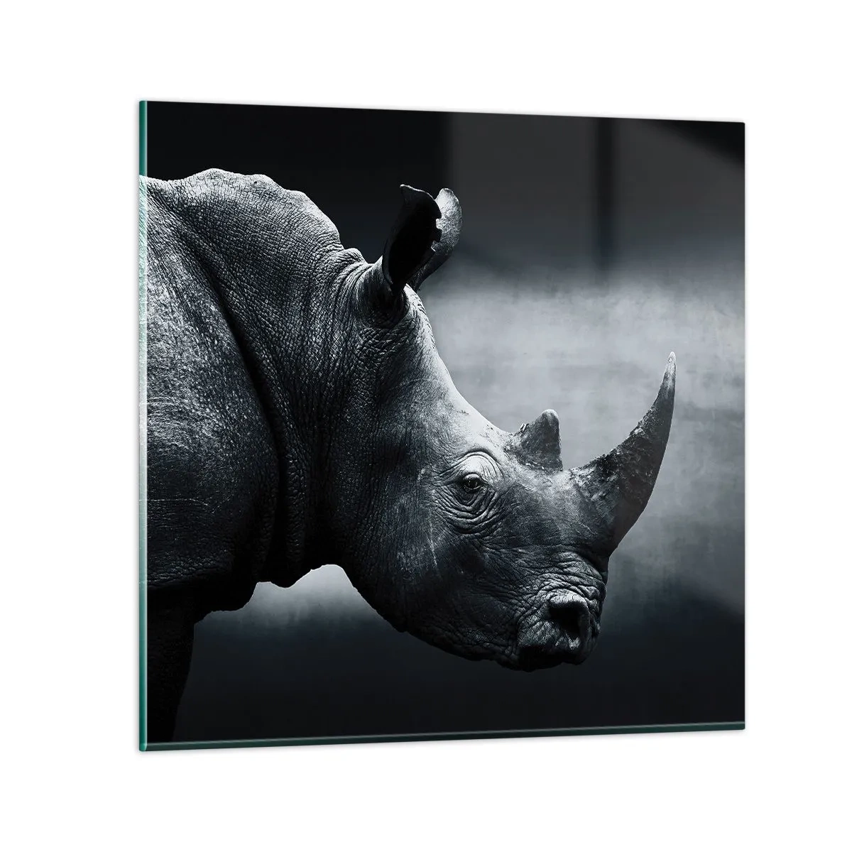 Glass picture - Right Profile - 70x70 cm