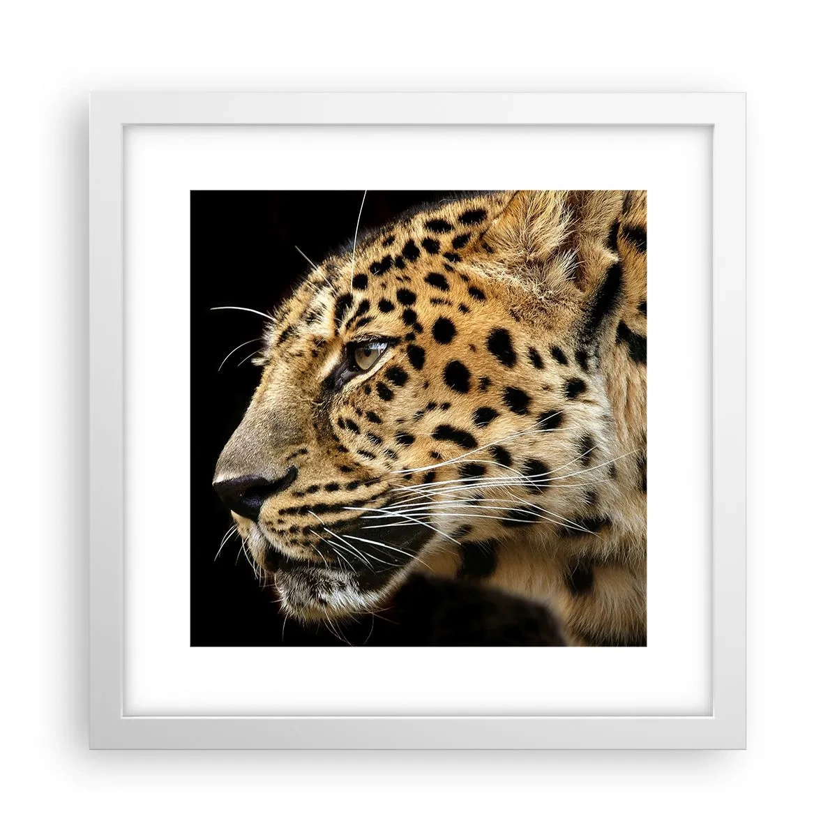 Poster in white frmae - Calm, Focused, Ready - 30x30 cm