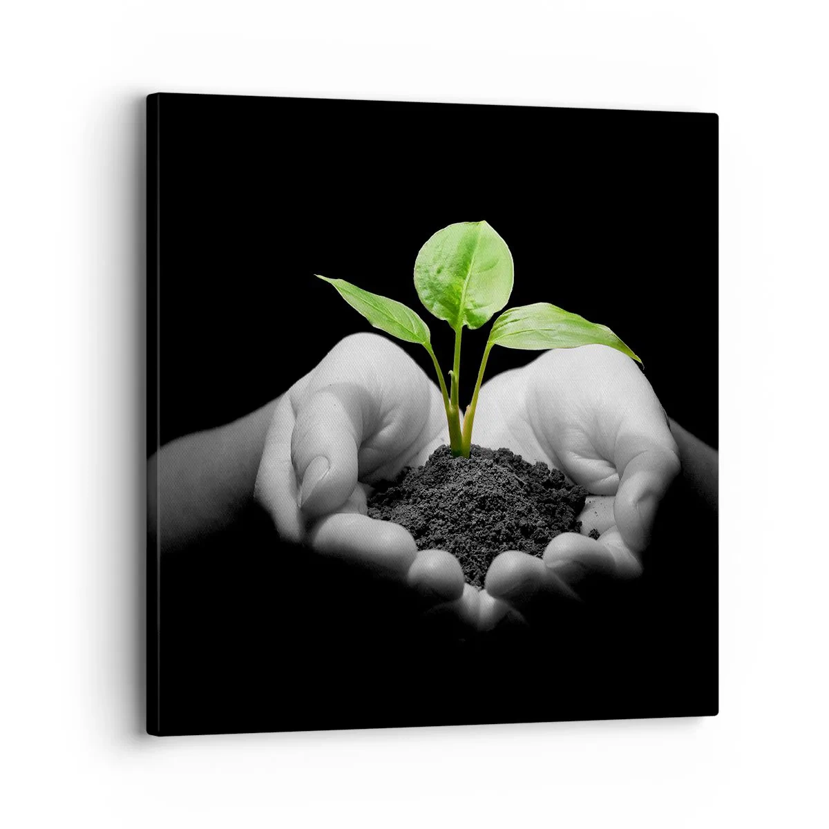 Canvas picture - I Love Nature, I Protect It - 30x30 cm