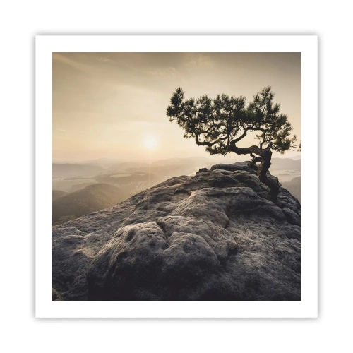 Poster - Life Always Wins - 60x60 cm