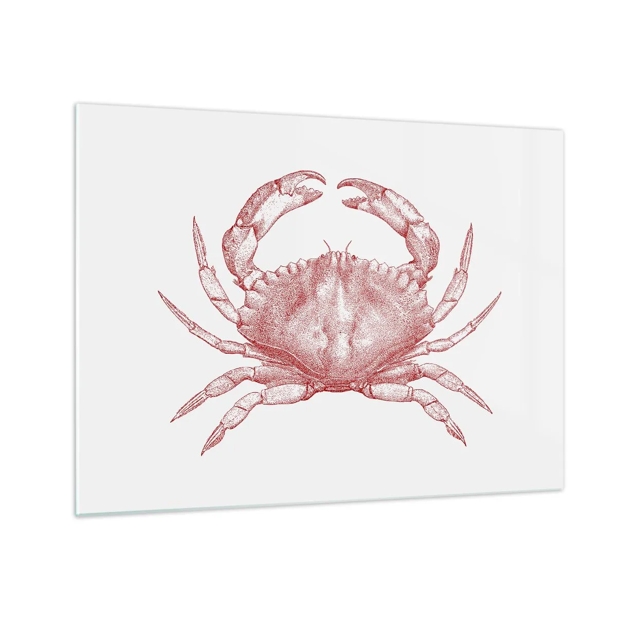 Glass picture - Sketch of a red crab on a light background in retro style - 70x50cm - Crab Like No Other - Modern wall decoration for the living room and bedroom ARTTOR