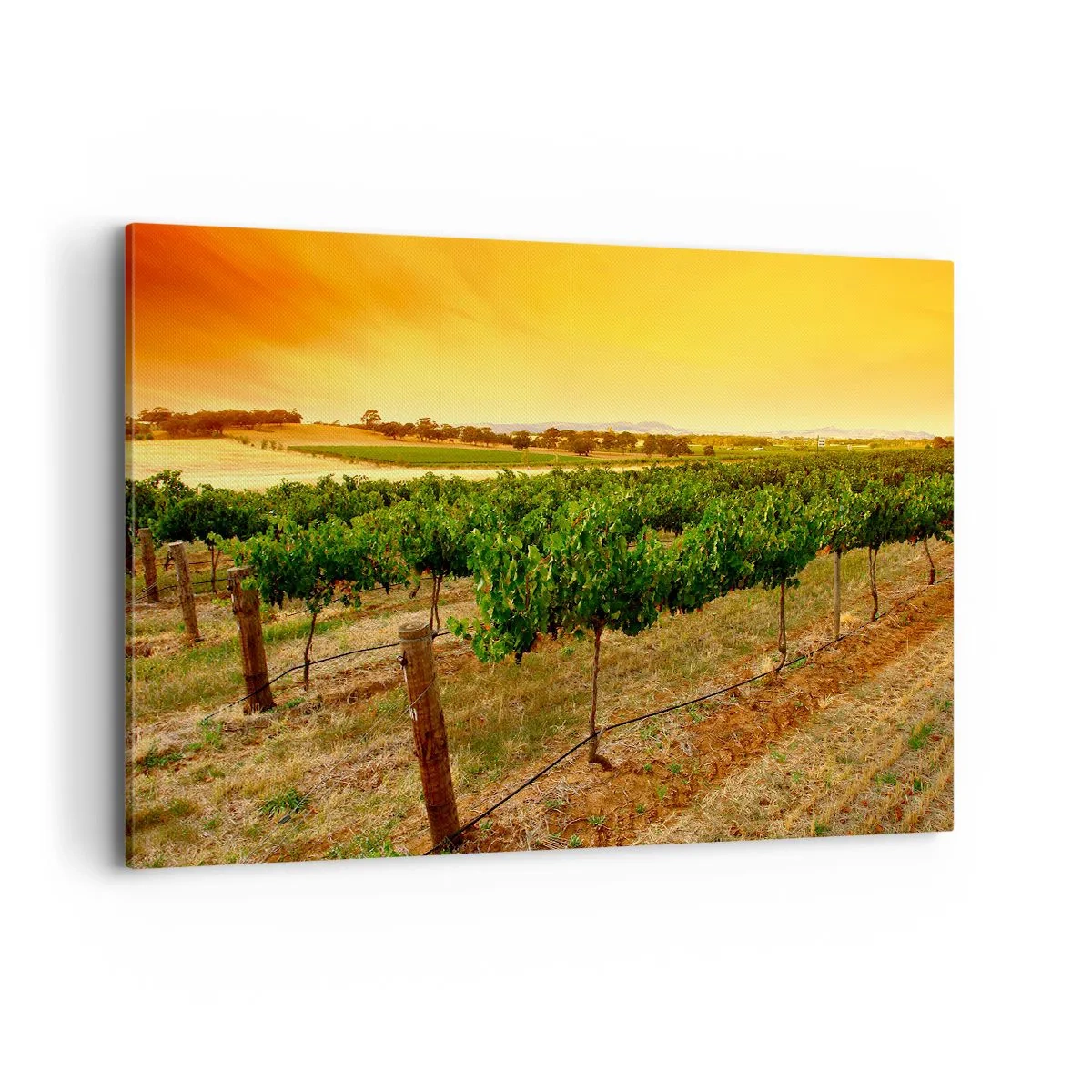 Canvas picture - Drink up the Sun - 120x80 cm