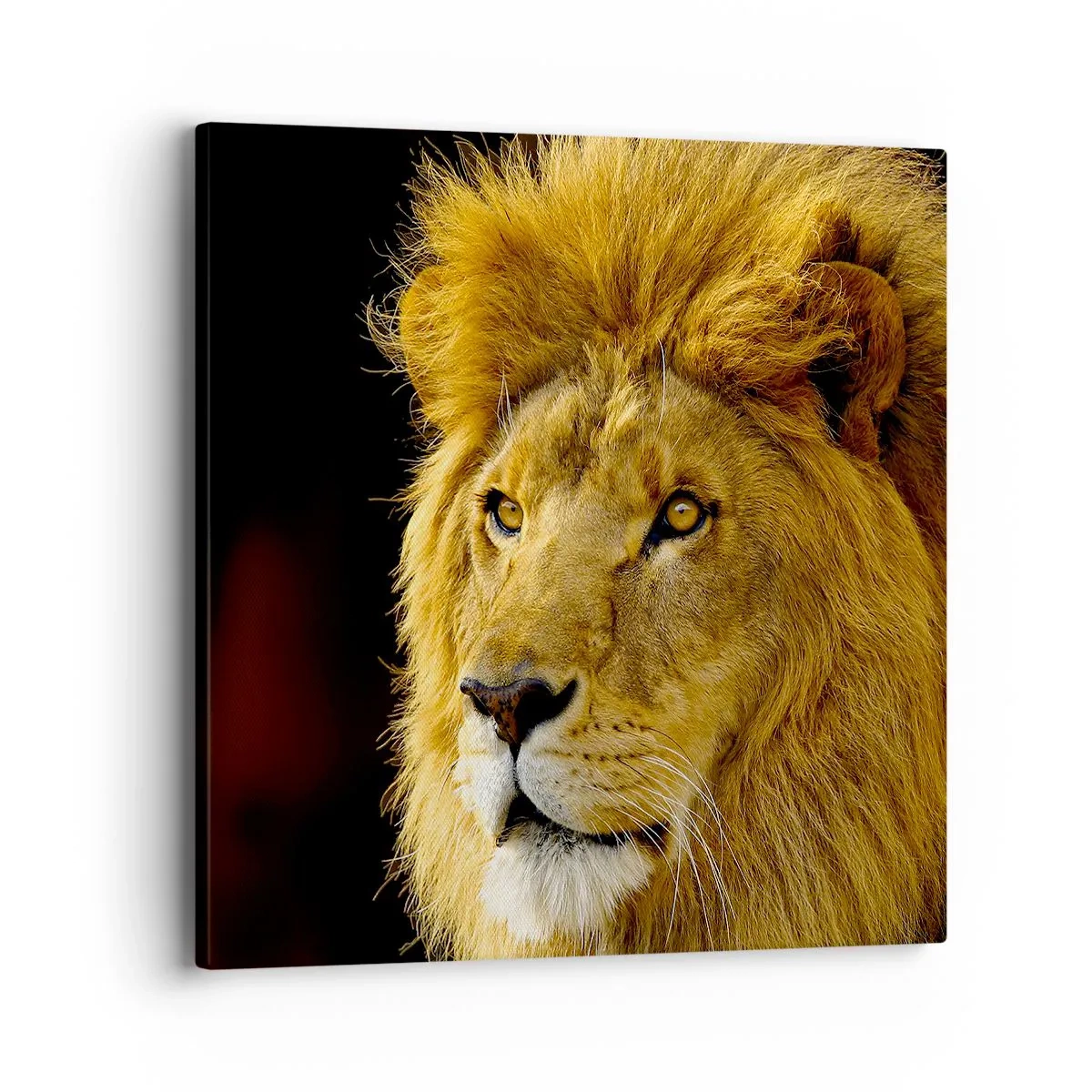 Canvas picture - Portrait of a King - 40x40 cm