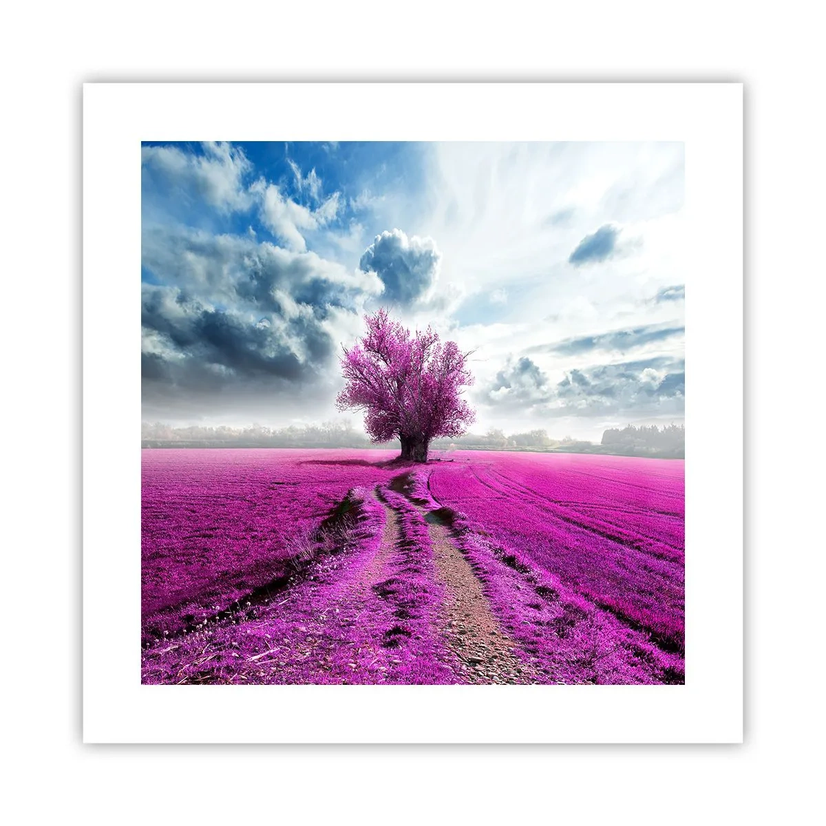 Poster - Heathland Charm - 40x40 cm