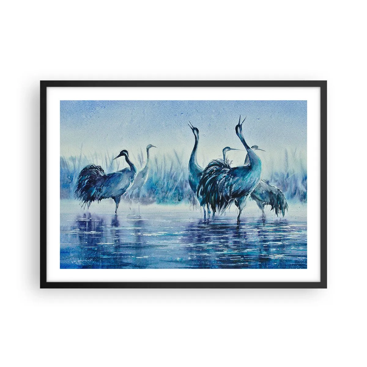 Poster in black frame - Morning Encounter - 70x50 cm