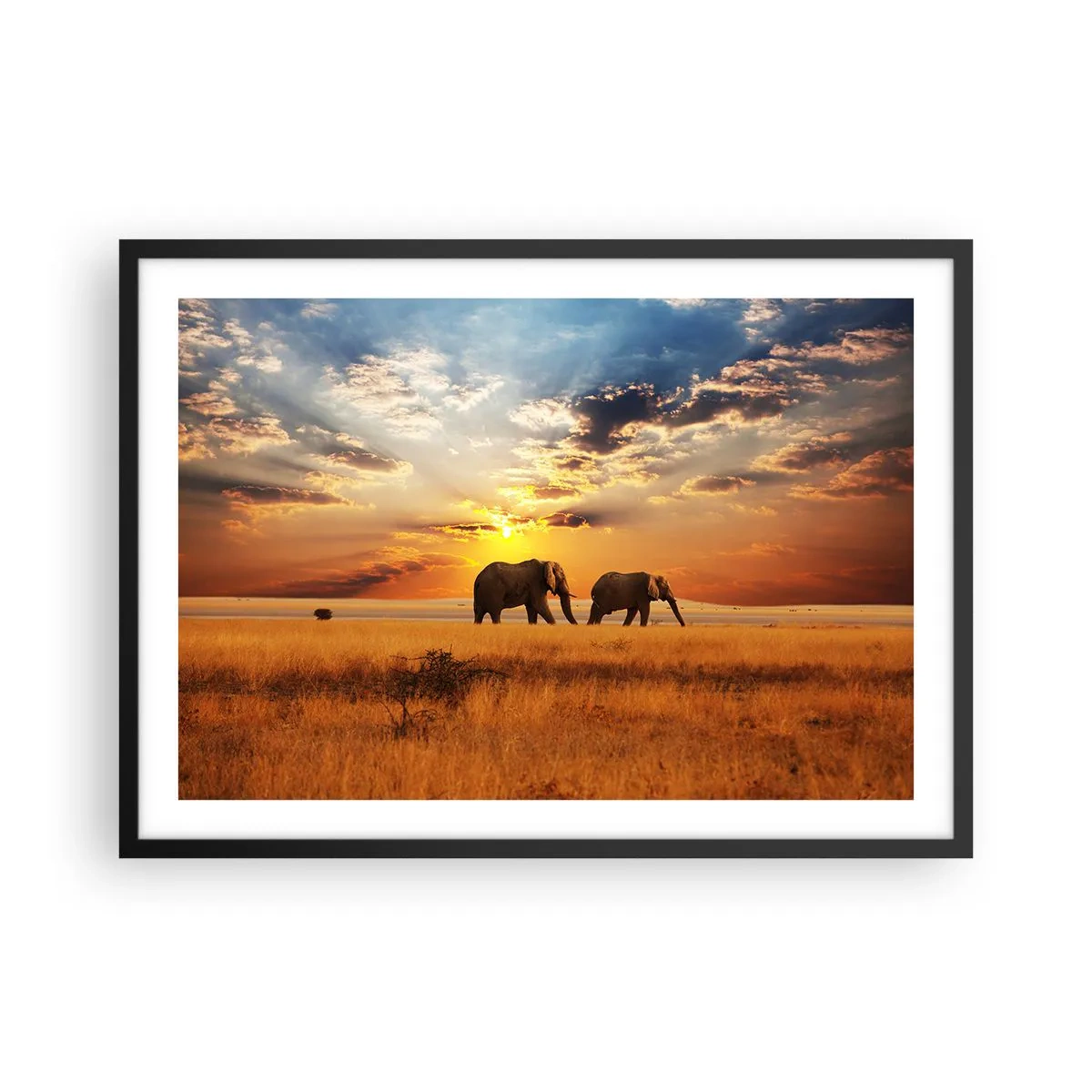 Poster in black frame - Family Walk - 70x50 cm