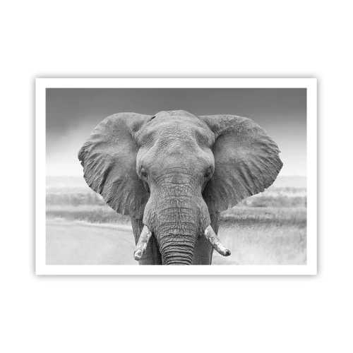 Poster - Welcome to My World - 100x70 cm