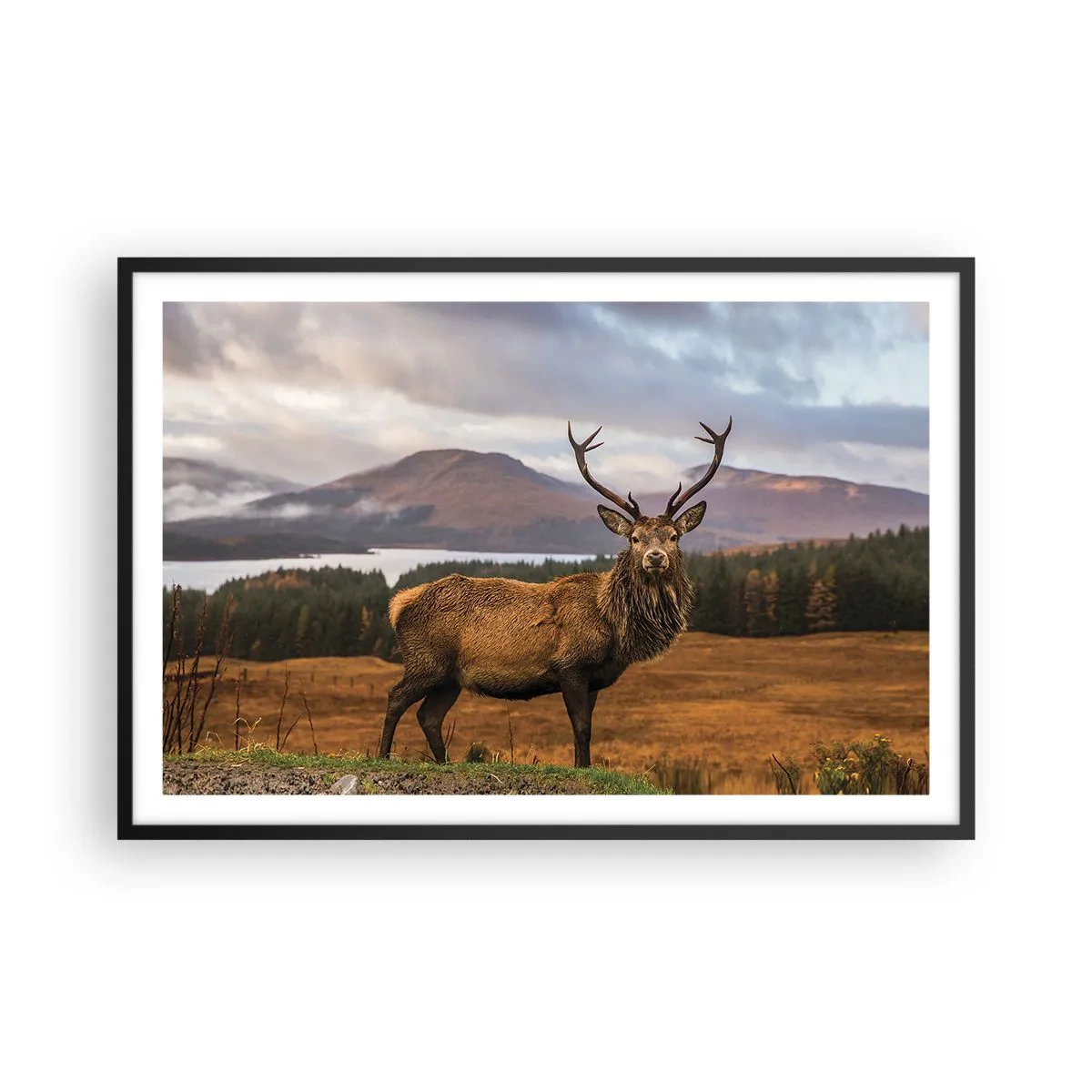 Poster in black frame - Majesty of Nature - 91x61 cm