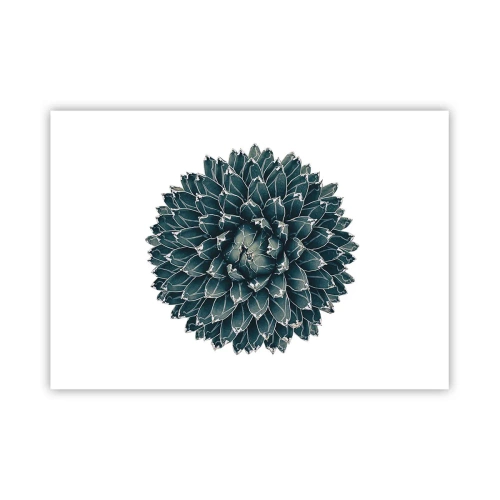 Poster - Star of the Desert - 100x70 cm