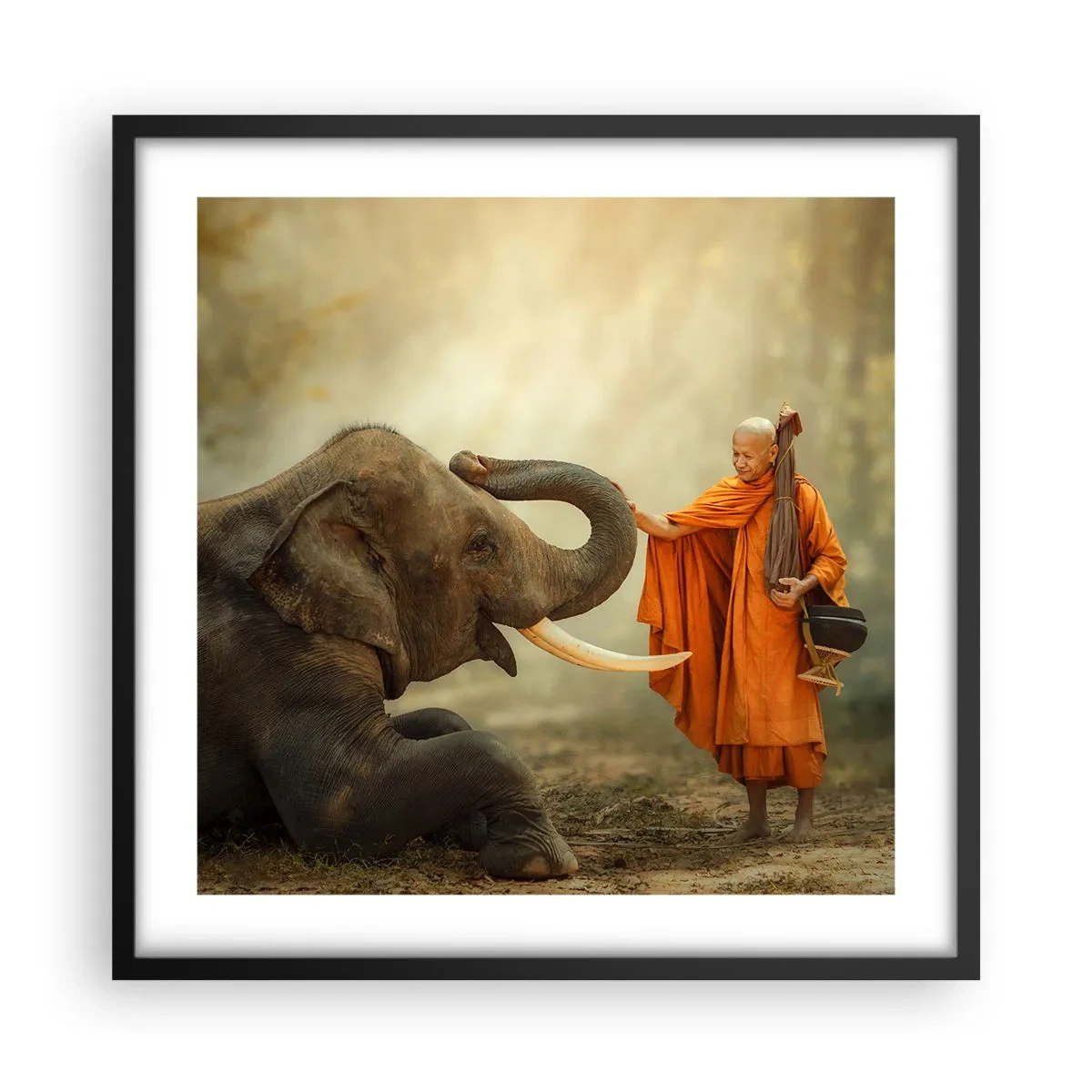 Poster in black frame - Unexpected Meeting - 50x50 cm