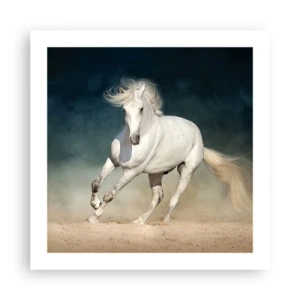 Poster - Freedom in a Pure State - 50x50 cm