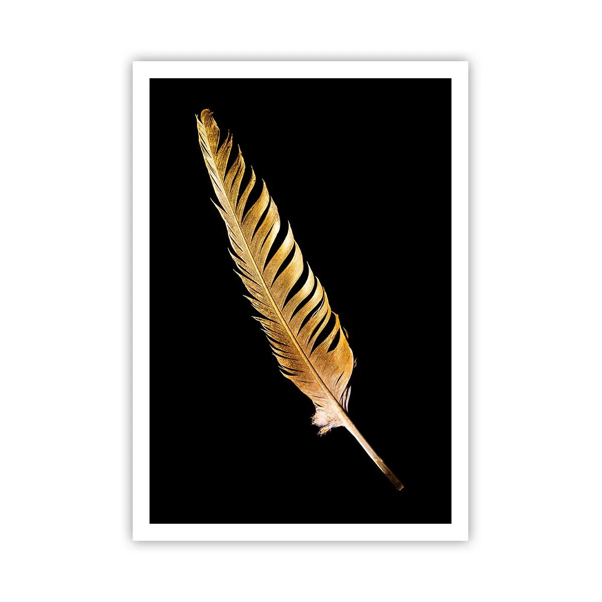 Poster - High-Class Feather - 70x100 cm