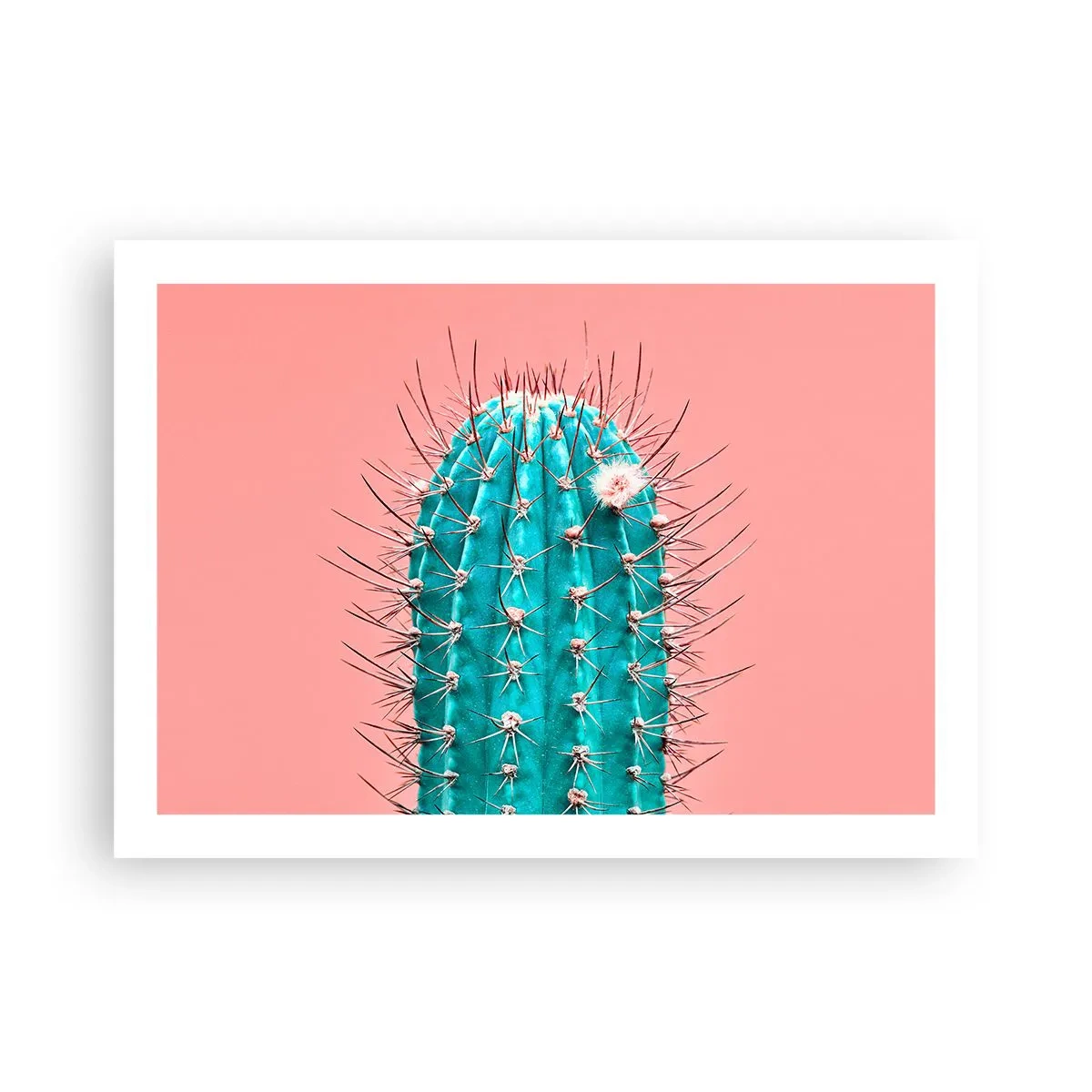 Poster - Just Look - 70x50 cm