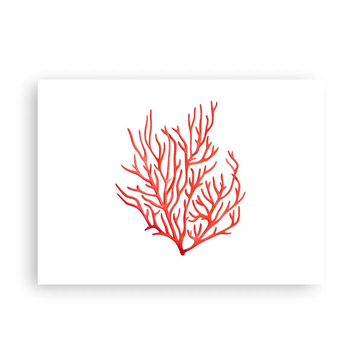Poster - Coral Filigree - 70x50 cm