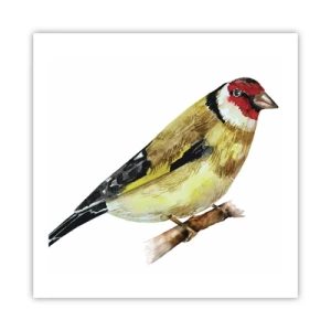 Poster - Bird Portrait  - 60x60 cm