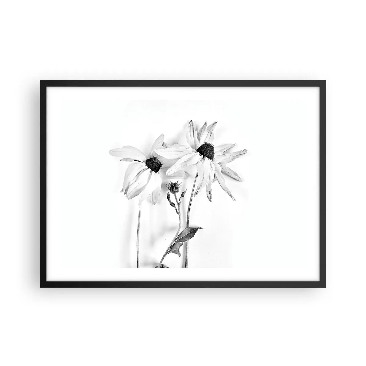 Poster in black frame - No one Wants To Be Alone - 70x50 cm