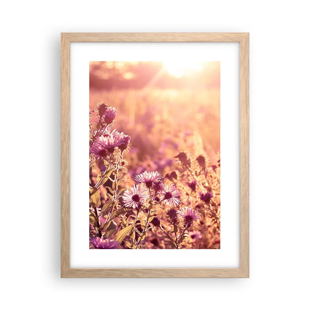 Poster in light oak frame - Before Summer Goes - 30x40 cm