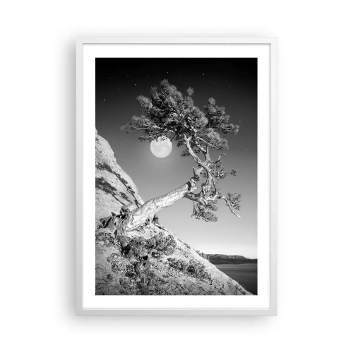 Poster in white frmae - Winning Warrior - 50x70 cm