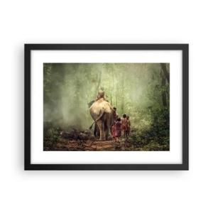 Poster in black frame - New Jungle Book - 40x30 cm