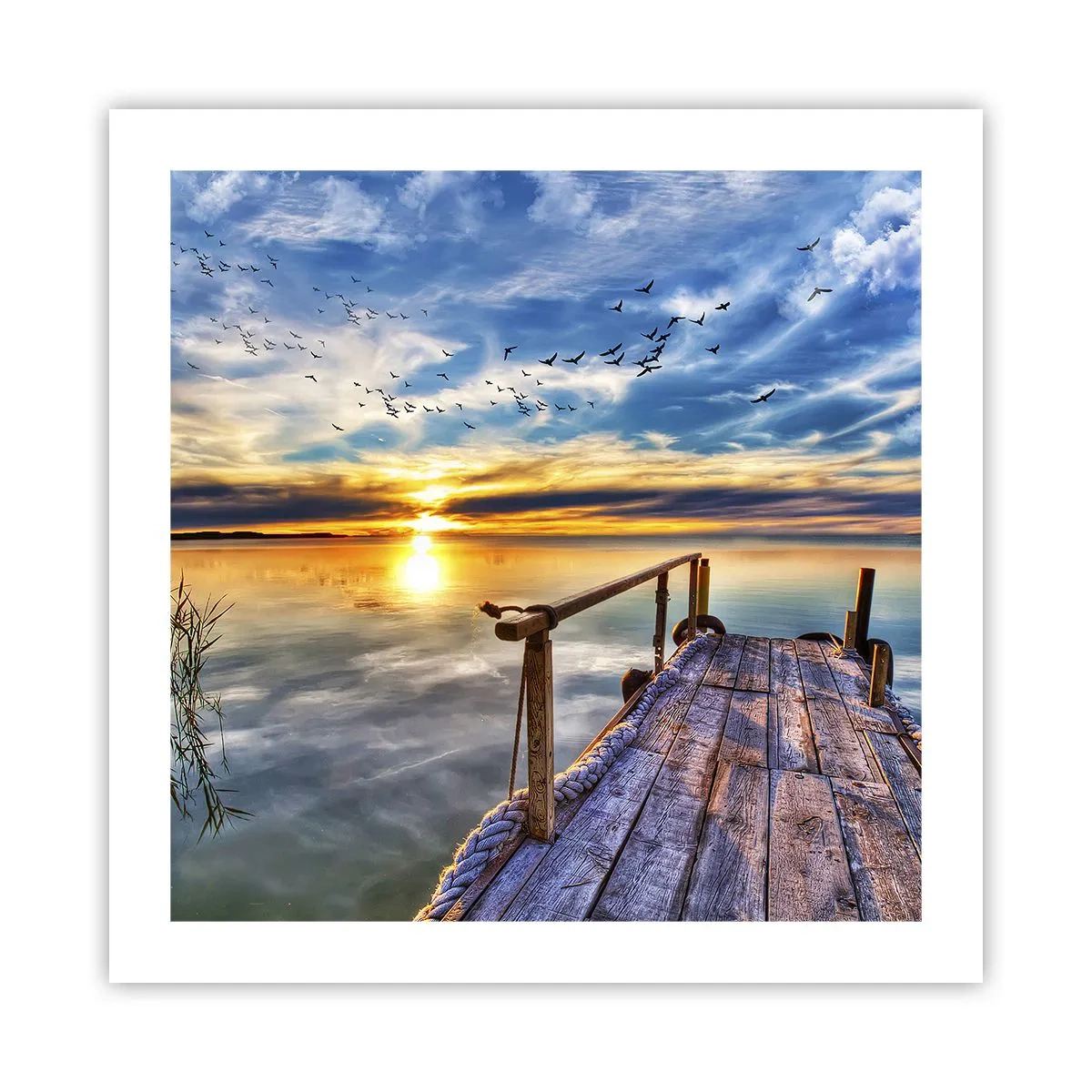 Poster - Wind is Taking a Break - 50x50 cm