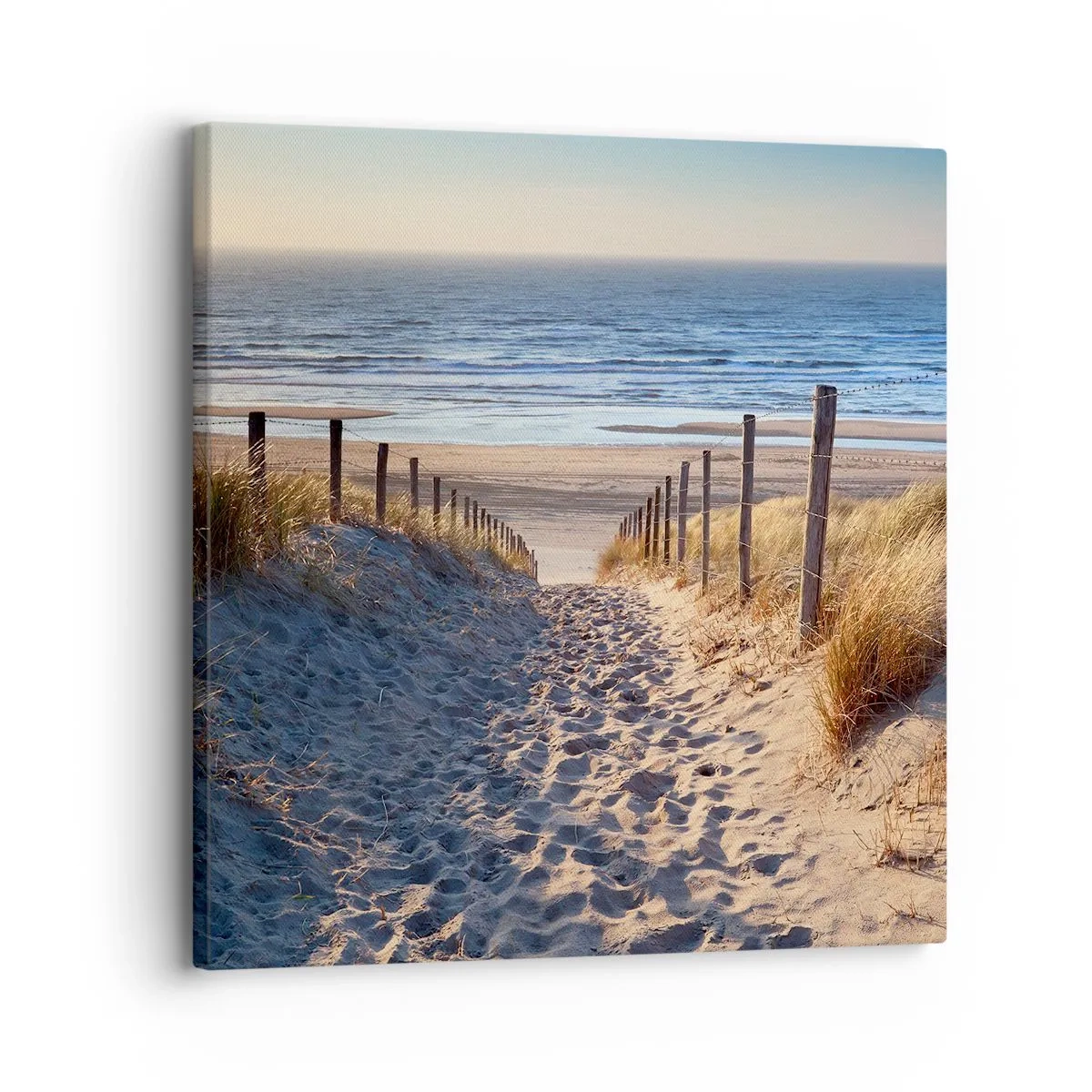 Canvas picture - Sound of the Sea, Singing of the Birds, Wild Beach among Grass - 30x30 cm