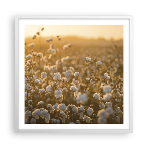 Poster in white frmae - Fluffy Field - 60x60 cm