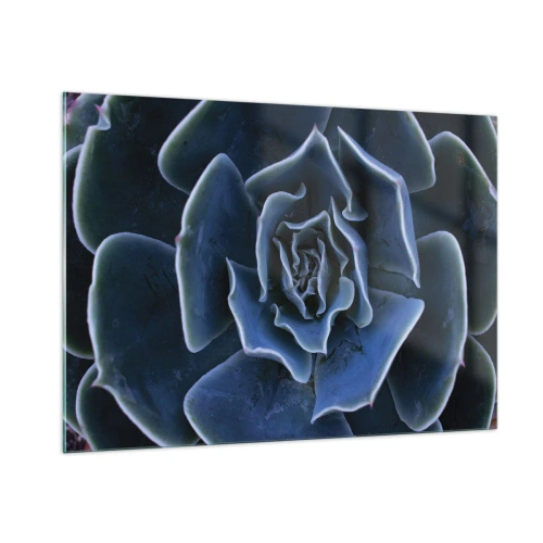 Glass picture - Flower of the Desert - 100x70 cm