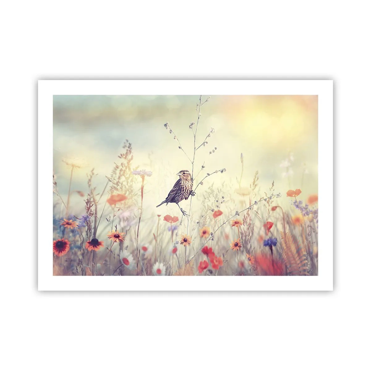 Poster - Bird Portrait with a Meadow in the Background - 70x50 cm
