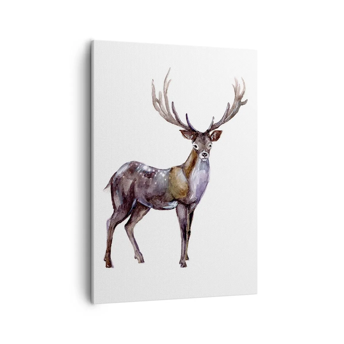 Canvas picture - King of Northern Forest - 50x70 cm