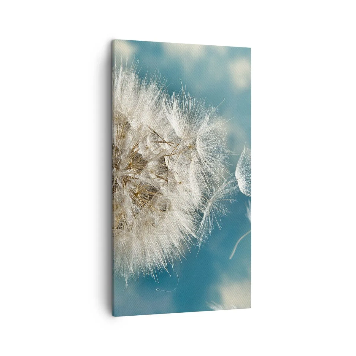 Canvas picture - Breath of an Angel - 45x80 cm