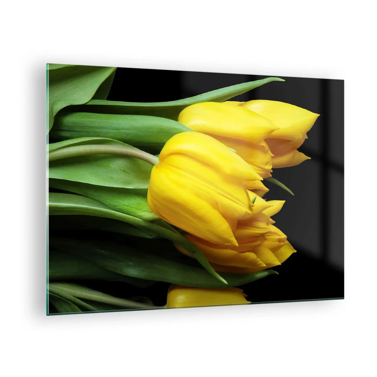 Glass picture - Yellow tulips on a black background in an elegant shot - 70x50cm - Born from the Sun - Modern wall decoration for the living room and bedroom ARTTOR
